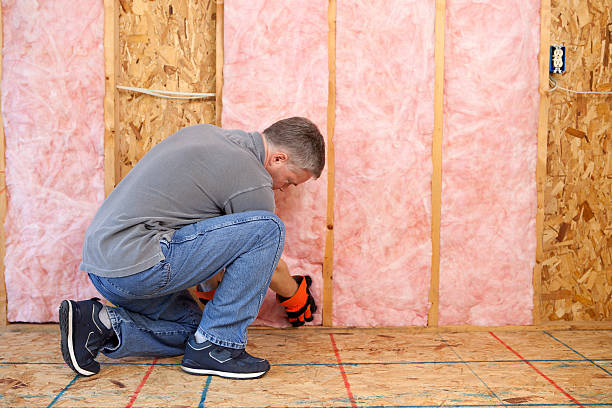 Best Specialized Insulation Services in Springdale, MD